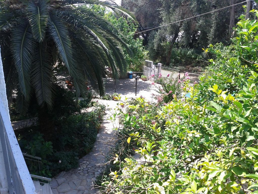 פרבזה Margarita Apartments חדר תמונה