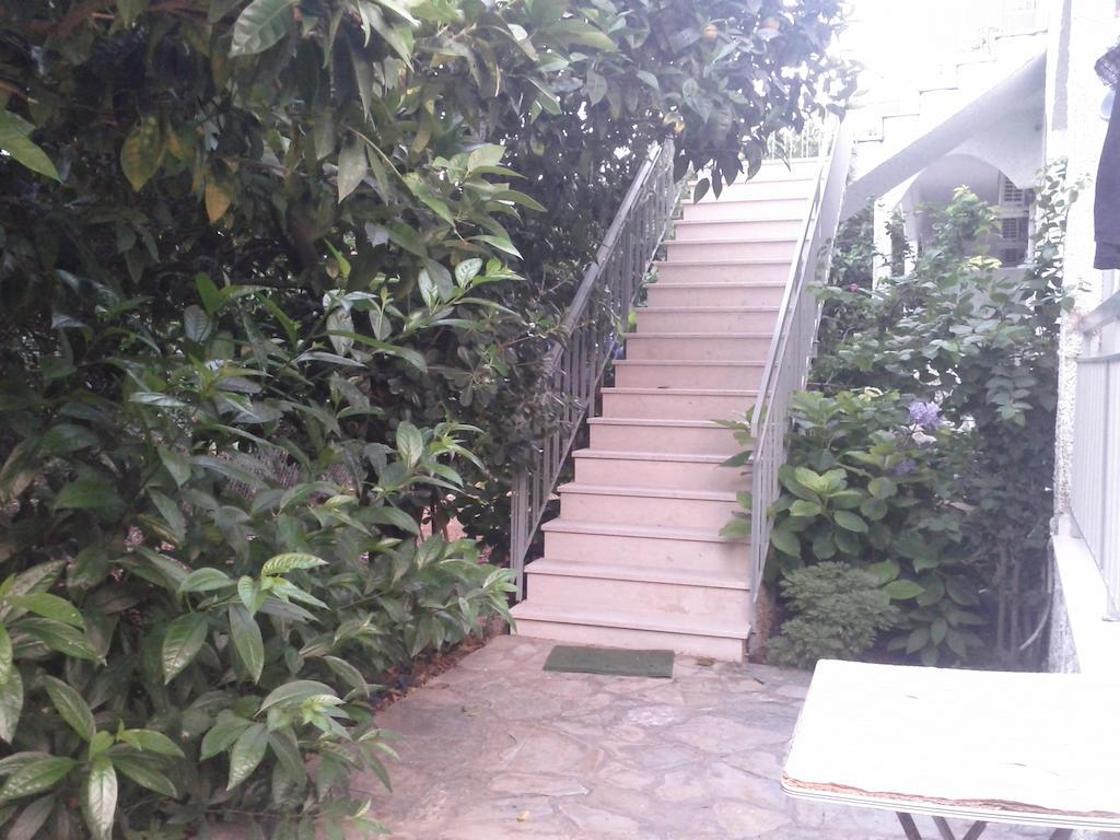 פרבזה Margarita Apartments מראה חיצוני תמונה