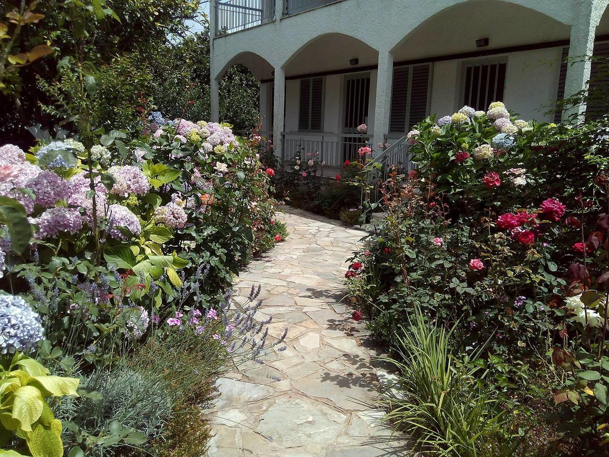 פרבזה Margarita Apartments מראה חיצוני תמונה